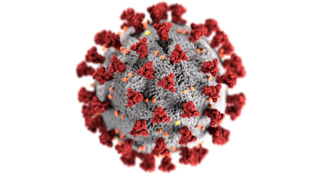 Virus enlarged picture of Corona Virus